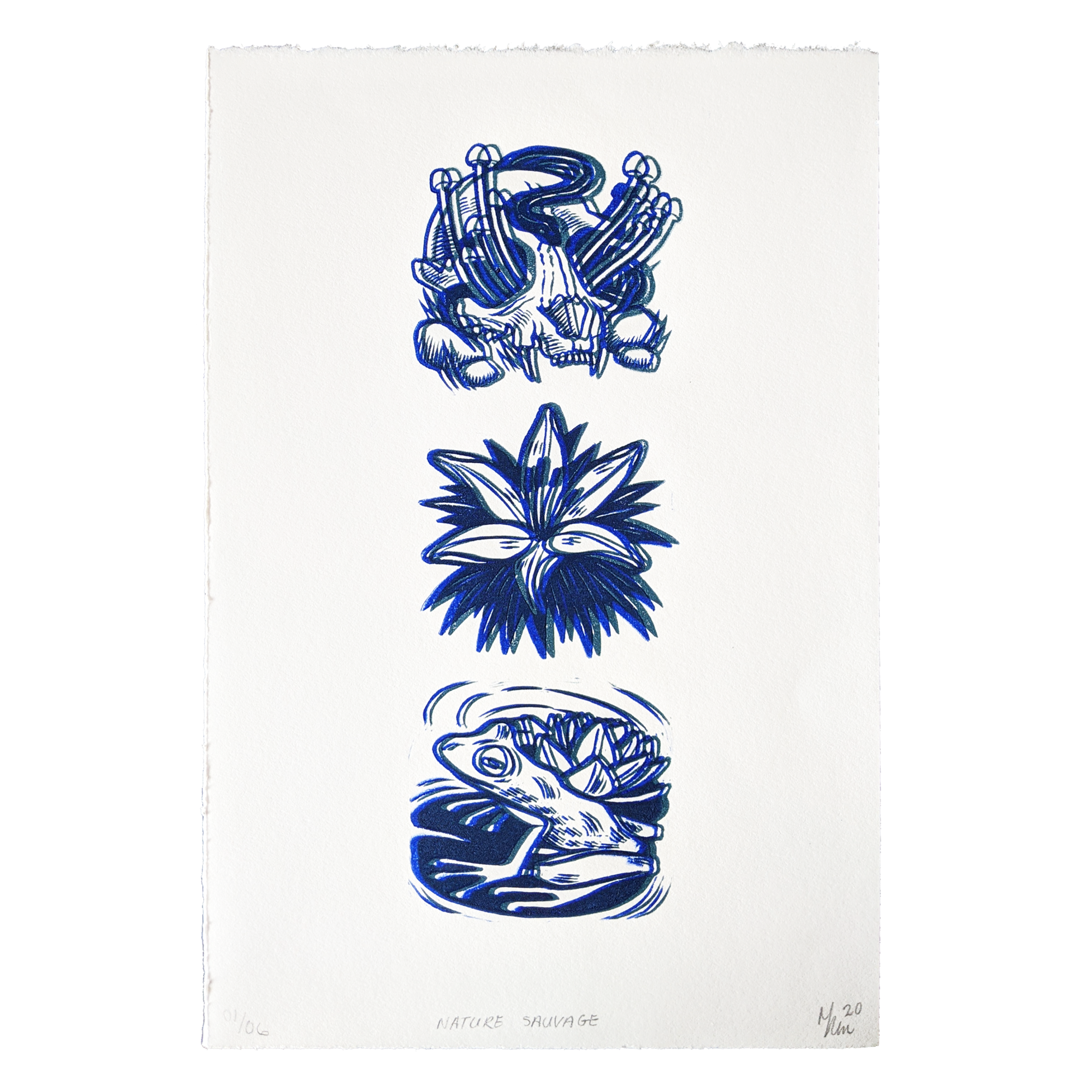 NATURE SAUVAGE NATURE SAUVAGE